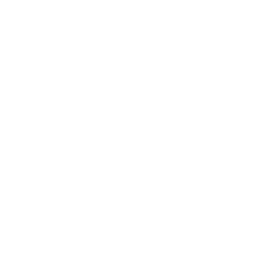 ML Model Development Machine Learning