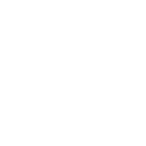 Performance Optimized Fast Loading Websites