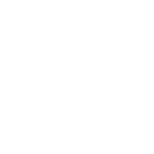 Secure Coding Practices Software Security